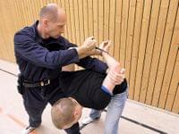 Polizei und Sicherheitskraefte Polizei und Sicherheitskraefte