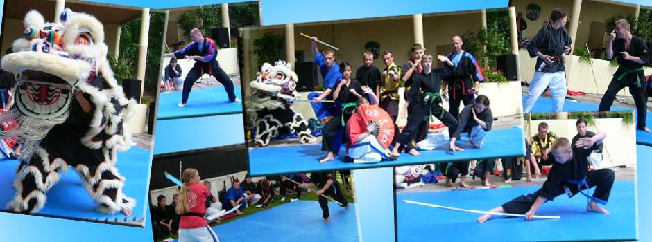 Selbstverteidigung wird mit diesen wirkungsvollen System möglich.